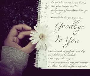 daisy-girl-goodbye-letter-love-Favim.com-127831_large
